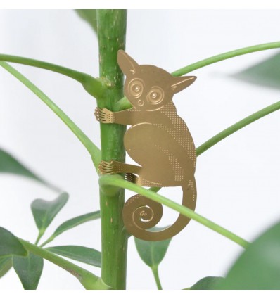 Déco de plante Bushbaby laiton