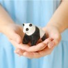 Panda en céramique - Dodo Toucan