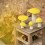 Champignon Dotty en feutre, Fleur en soufre (L) - Muskhane