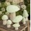 Champignon Dotty en feutre, Menthe (L) - Muskhane