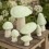 Champignon Morille en feutre, Menthe - Muskhane