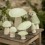 Champignon plat en feutre, Menthe - Muskhane
