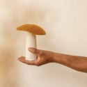 Champignon plat en feutre, Or - Muskhane