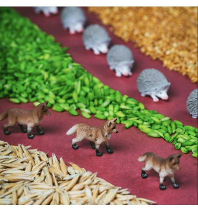 Bouteille sensorielle spy forêt - Petit Boum