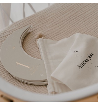 Set de 12 cartes étapes Moon - Zakuw