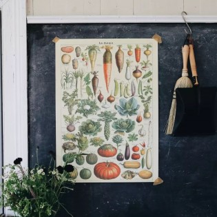 Affiche pédagogique Le Jardin - Cavallini