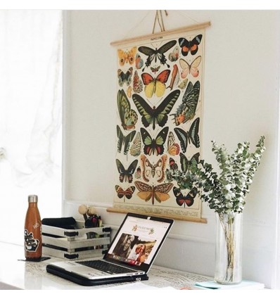 Affiche Papillons - Cavallini & Co