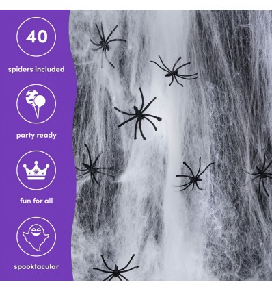 Grande toile d'araignée