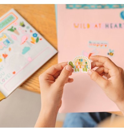 Album de 780 autocollants - DAM