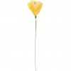 Fleur en papier Narcisse Jaune/blanc - Rico Design