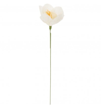 Fleur en papier Narcisse Blanc/vert - Rico Design