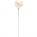 Fleur en papier Narcisse Blanc/vert - Rico Design