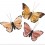 Papillon décoratif à cliper Orange - Rico Design