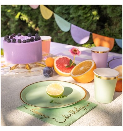 6 assiettes en carton multicolores - Party Deco