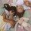 Poupée Cozy Dinkum Lapin rose Flopsy - Olli Ella