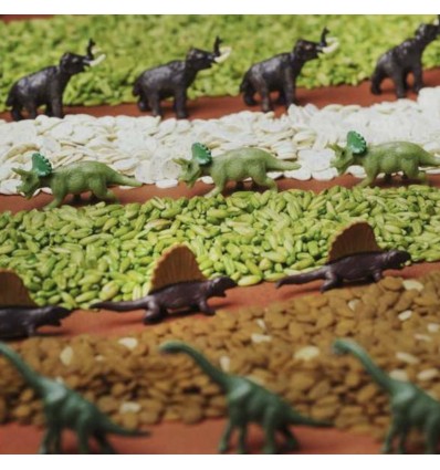 Bouteille sensorielle spy jurassic - Petit Boum