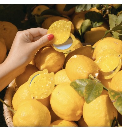 Miroir citron - Coucou Suzette