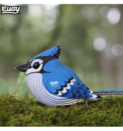 Eugy puzzle Geai bleu 3D en carton