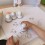 Mes premiers tampons Savane - Crea Lign'