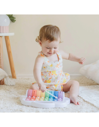 Xylophone à rouleaux - Tiger Tribe