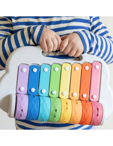 Xylophone à rouleaux - Tiger Tribe