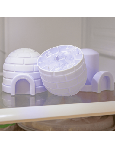 Igloo pour glaçons - Kikkerland