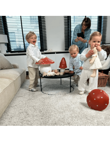 Lampe Veilleuse champignon Brique (S) - Egmont...