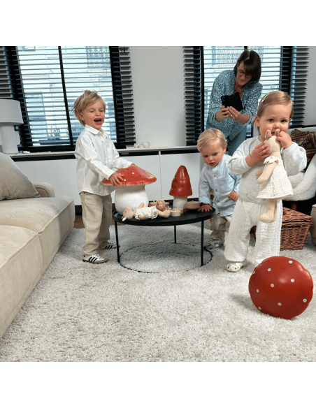 Lampe Veilleuse champignon Brique (S) - Egmont Toys