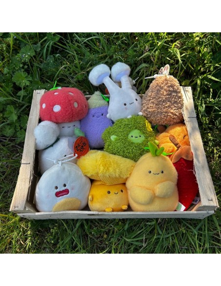 Peluche Citrouille - Bazuuyu