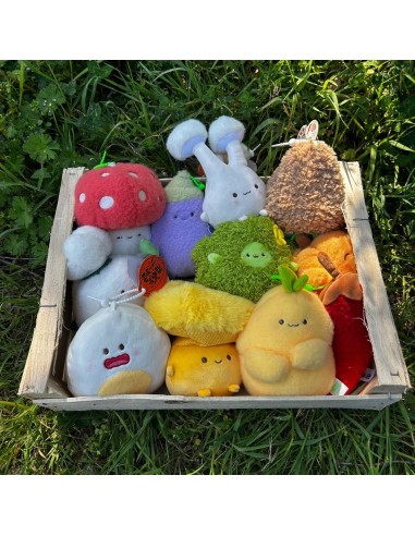 Peluche Ail - Bazuuyu