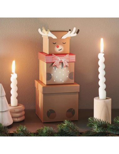 Set de 3 boîtes cadeaux Renne - Rico Design