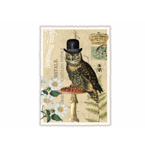 Carte postale Chouette à chapeau - Acte tre
