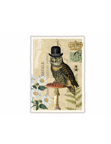 Carte postale Chouette à chapeau - Acte tre