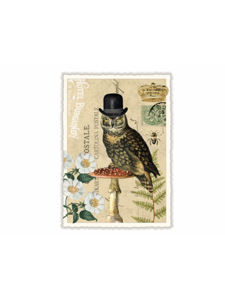 Carte postale Chouette à chapeau - Acte tre