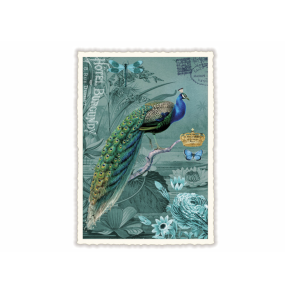 Carte postale Paon - Acte tre