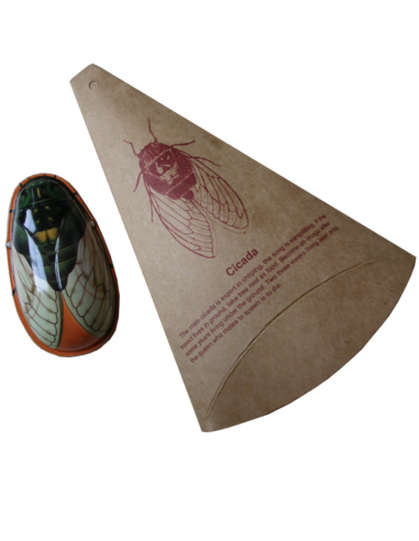 Clic clac Cigale en métal - Protocol