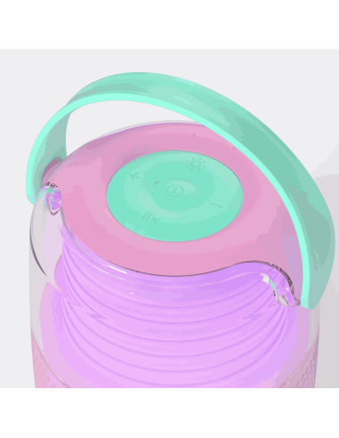 Enceinte et Karaoké Rose - Mobility On Board