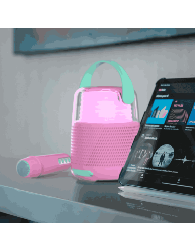 Enceinte et Karaoké Rose - Mobility On Board