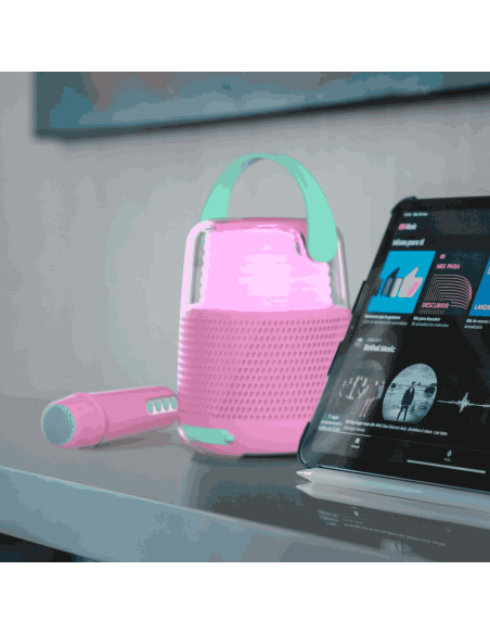 Enceinte et Karaoké Rose - Mobility On Board