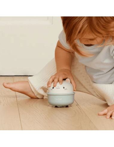 Chat 2-en-1 culbuto et à friction - Tiger Tribe