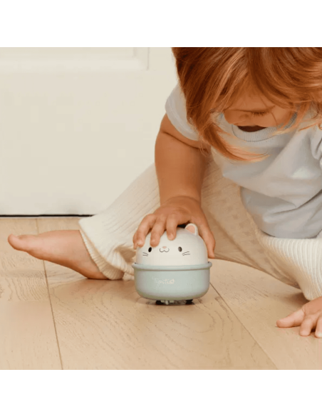 Chat 2-en-1 culbuto et à friction - Tiger Tribe