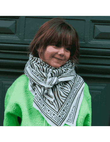 Foulard Zèbre kaki - Maison Augustin