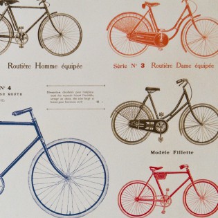Affiche Vélo rétro - Cavallini & Co 2