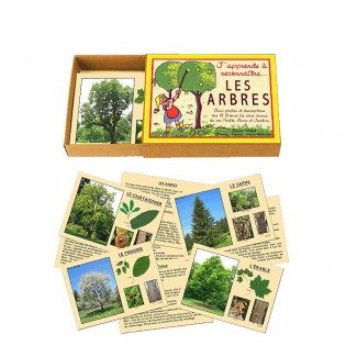 J'apprends à reconnaître les arbres Marc Vidal