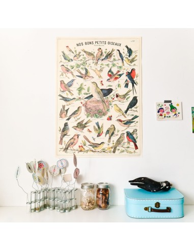 Affiche Oiseaux rétro vintage - Cavallini & Co