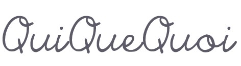 Qui Que Quoi